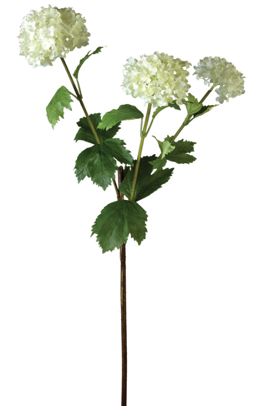 22" Snowball Spray, Cream