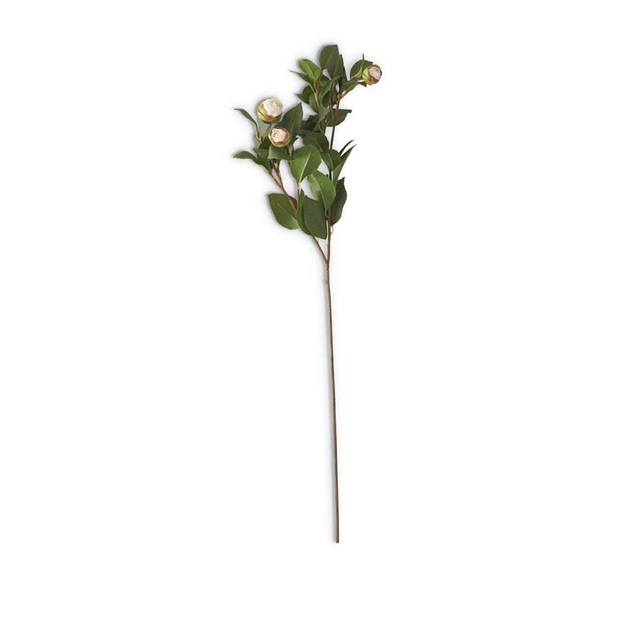28" 5-Bud Peony Stem, White