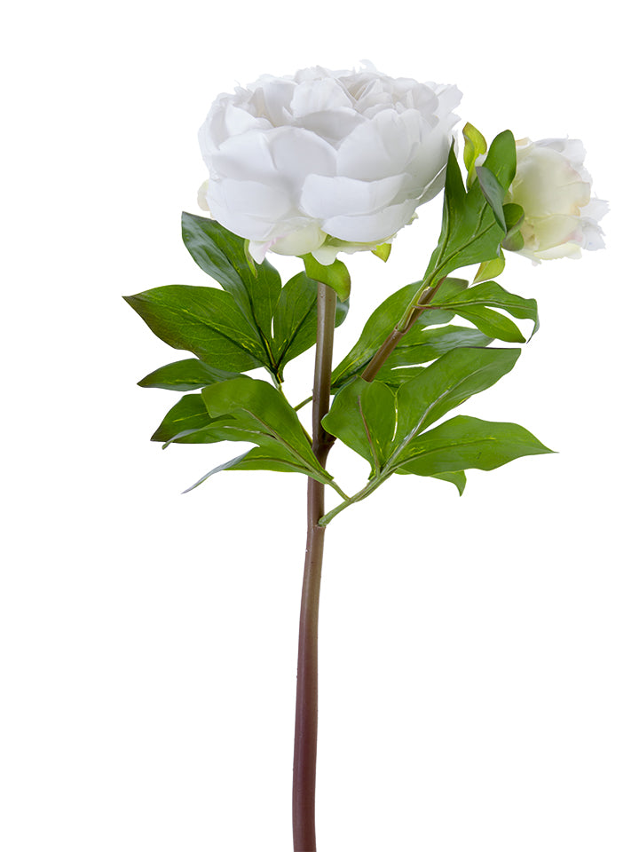 23" Fresh Touch Peony Stems (Various Colors)
