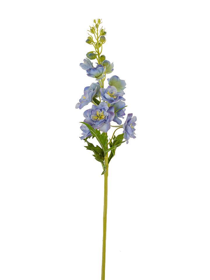 27.5" Delphinium, Blue