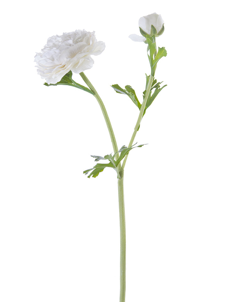 22" Butter Cup Ranunculus Spray (Various Colors)
