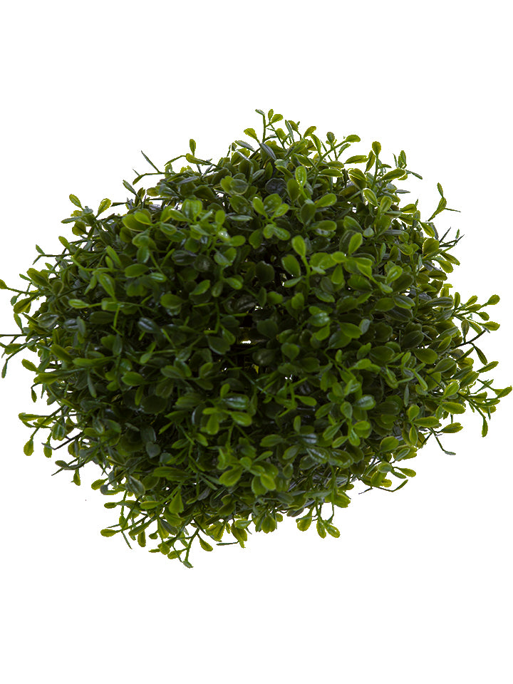 Boxwood Ball (Various Sizes)