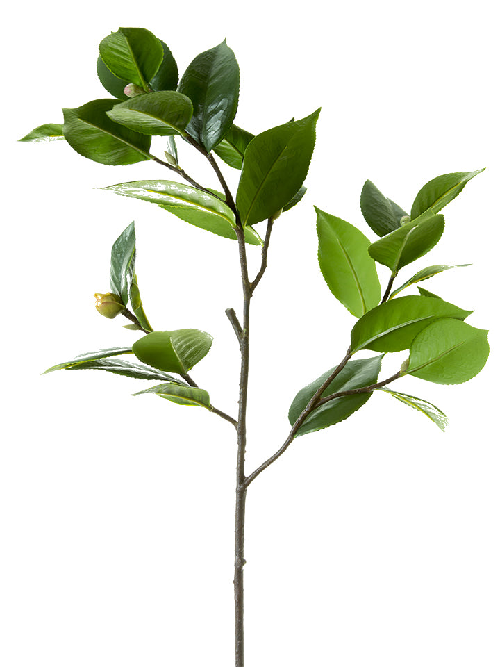 27" Camellia Leaf Branch with Bud