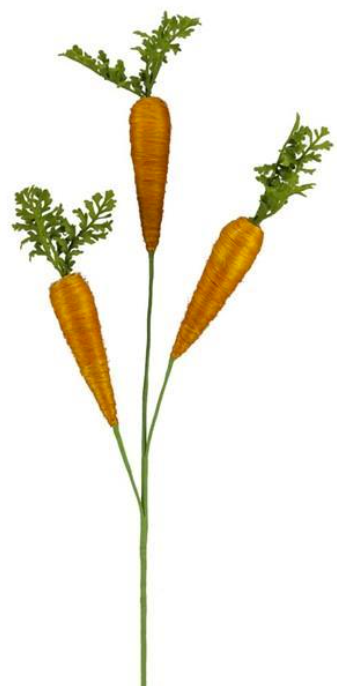 24" Carrot Spray