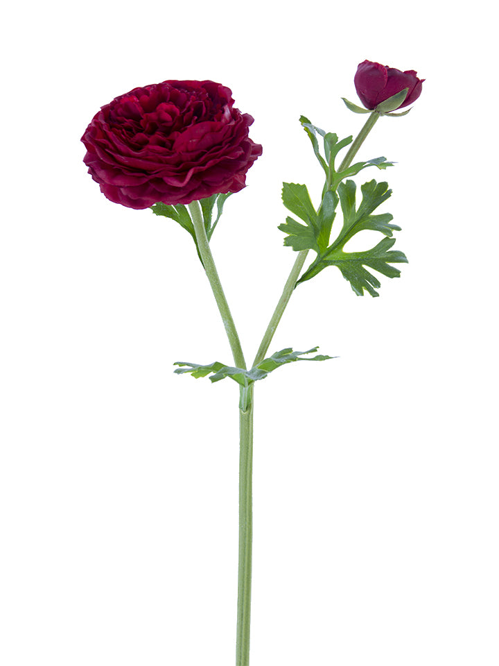 22" Butter Cup Ranunculus Spray (Various Colors)