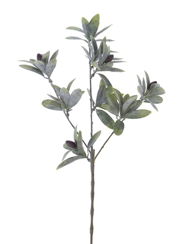 26.5" Dusty Olive Spray