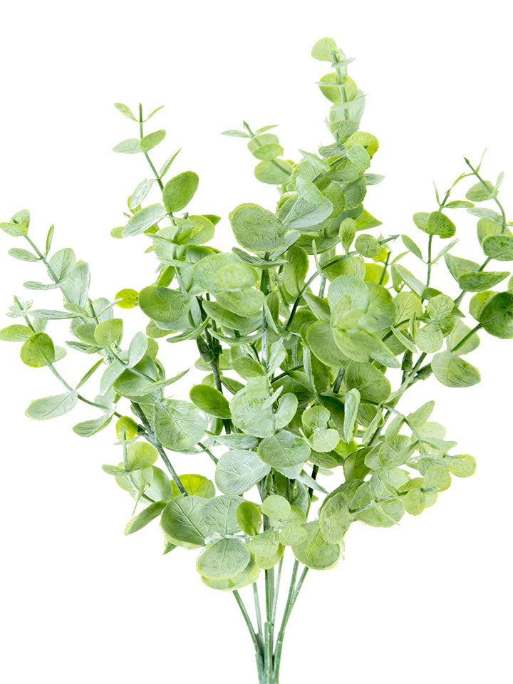 13" Eucalyptus Bush, Green