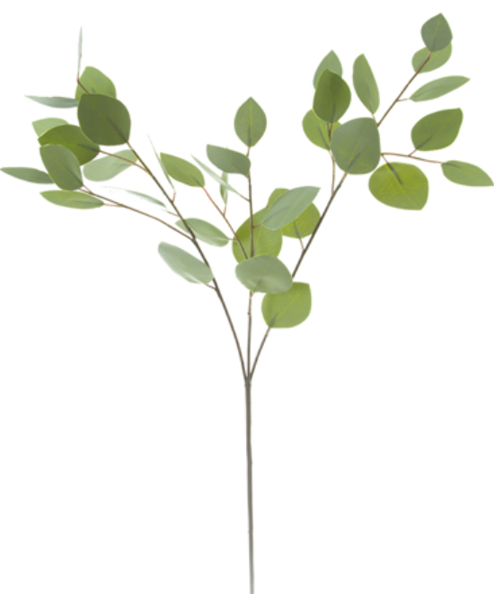 32" Eucalyptus Spray, Green