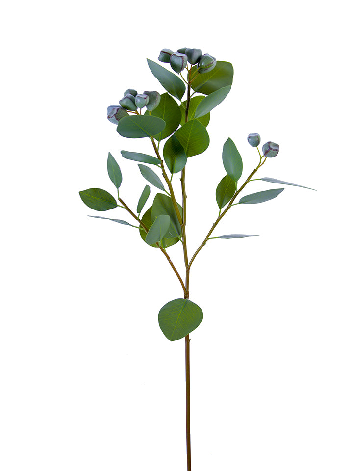 29" Eucalyptus Spray with Buds, Light Sage