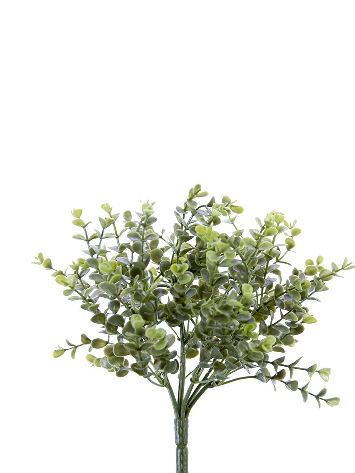 11" Eucalyptus Bush, Green