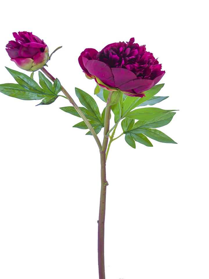 26" Ruffled Peony Stem, American Beauty