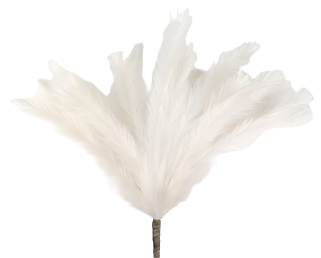 52" Feather Reed Spray (Cream)