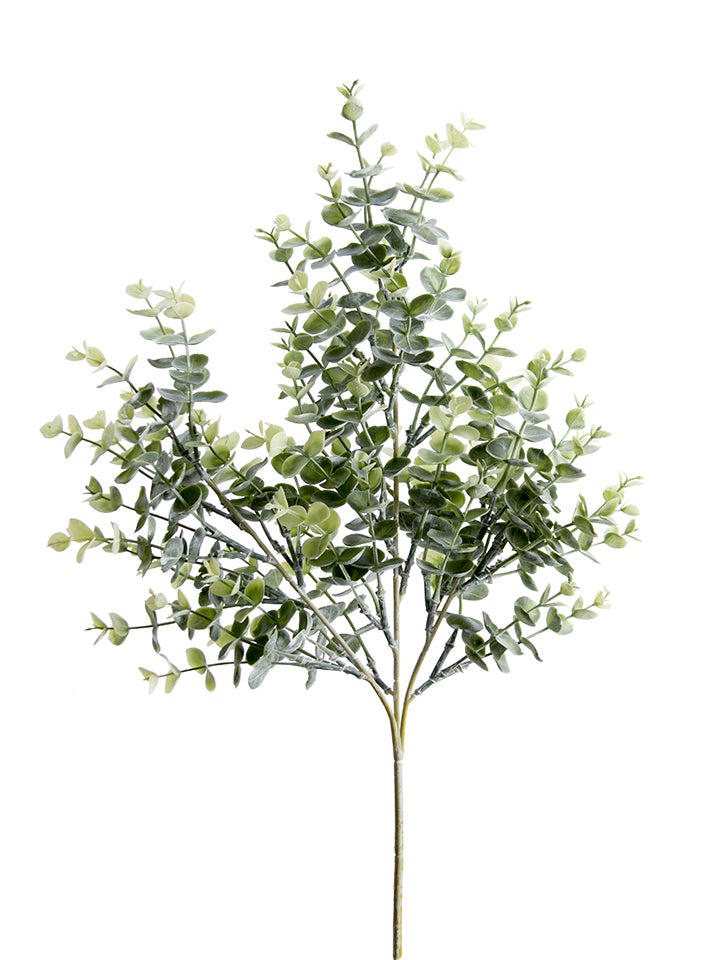 25" Frosted Eucalyptus Spray, Green