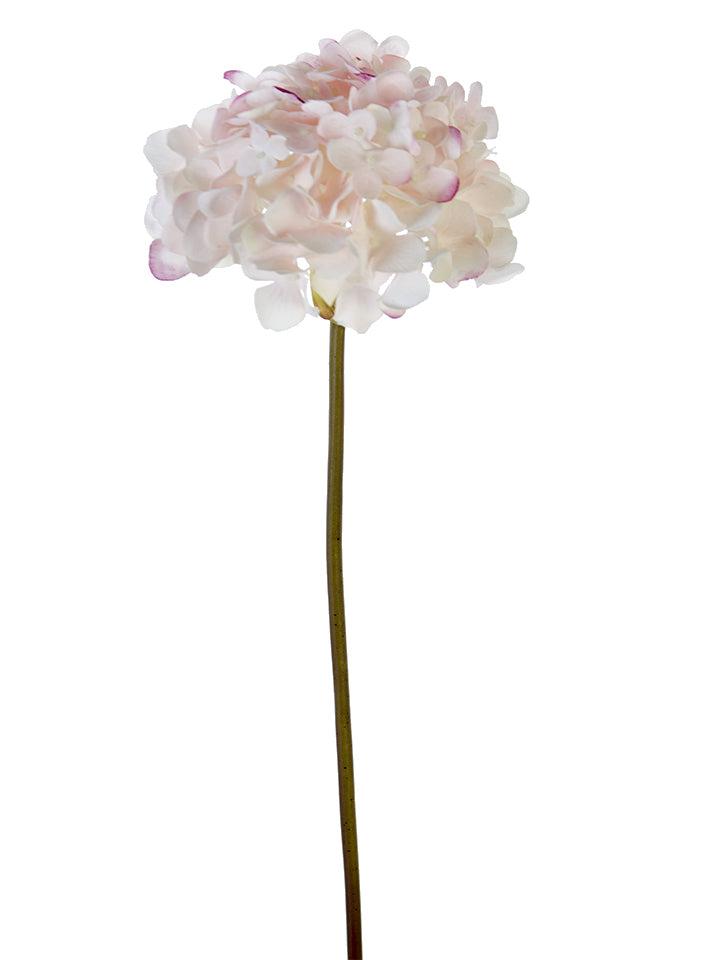 21" Garden Hydrangea, FRESH TOUCH Blush Pink