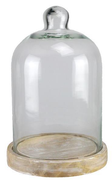 Glass Dome with Wood Base