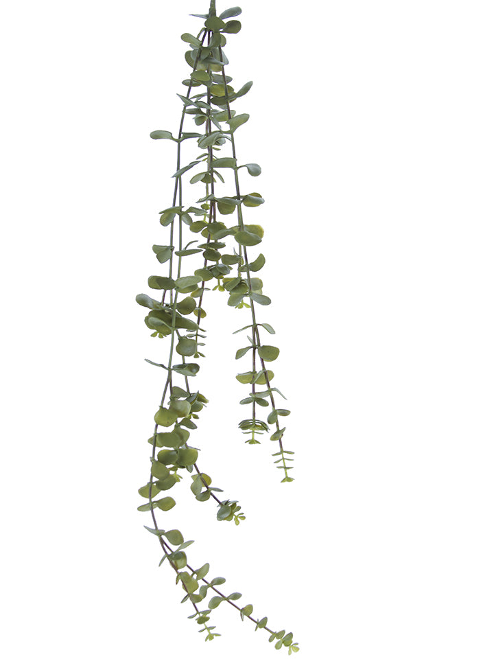 33" Hanging Succulent Spray, Green