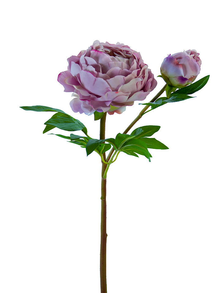 26" Heirloom Peony, Lavender
