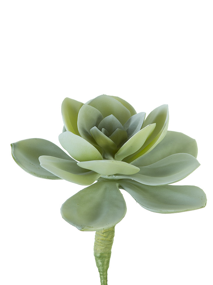 12" Hen & Chick Leg Pick, Sage
