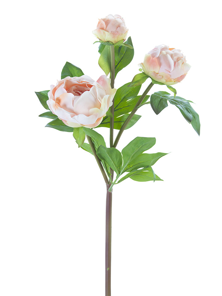 28" Peony Buds Spray (Various Colors)