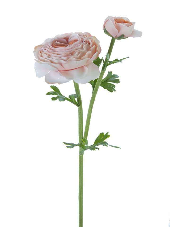 23" Real Touch Open Ranunculus, Light Coral