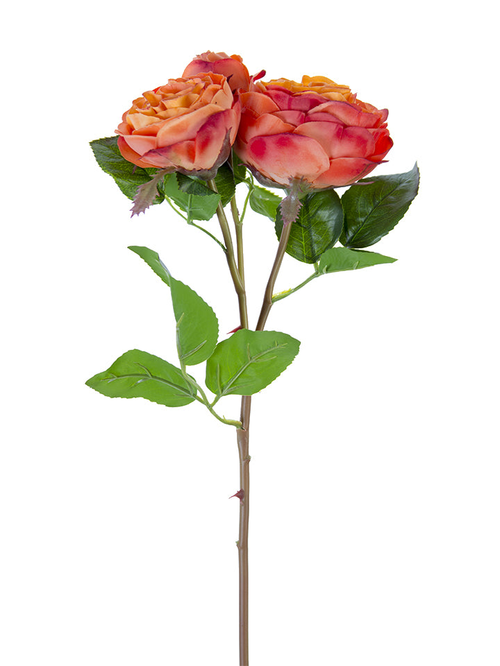 21" Real Touch Cabbage Rose Spray (Various Colors)