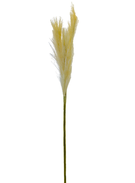 30" Pampas Grass Spray, Cream