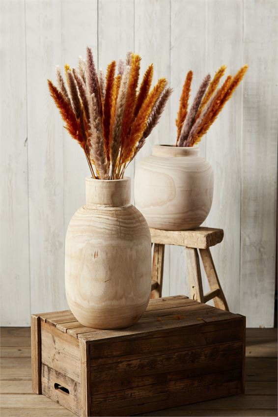 Preserved Pampas Grass (Various Colors)