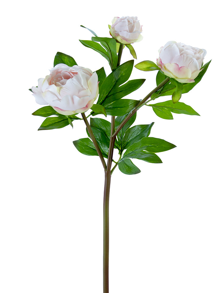 28" Peony Buds Spray (Various Colors)