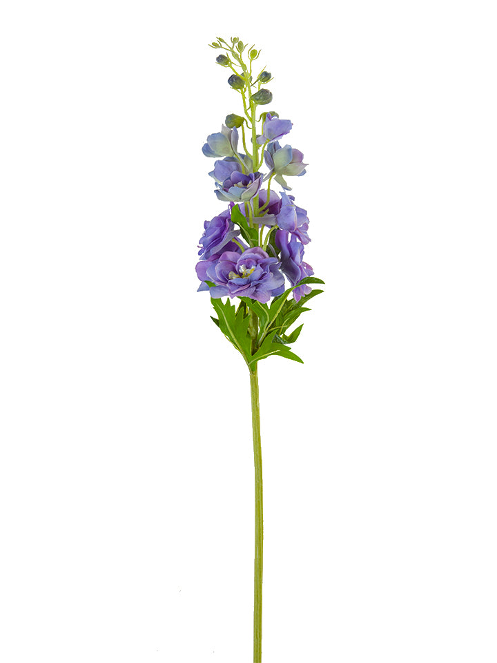 27.5" Delphinium, Purple Blue