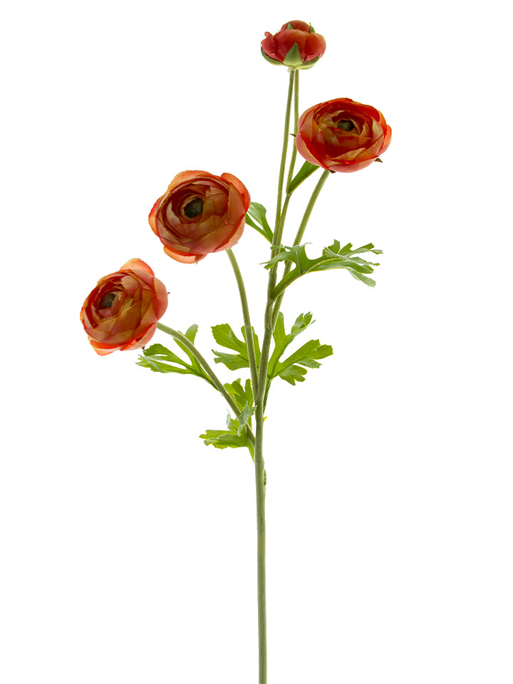 31" Ranunculus Stem, Orange