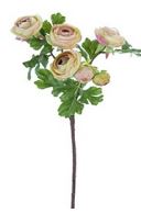 26" Ranunculus Spray, Peach w/ Green