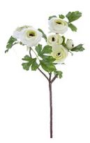 26" Ranunculus Spray, White w/ Green