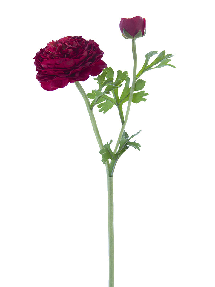 22" Butter Cup Ranunculus Spray (Various Colors)