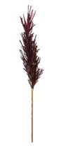32.5" Dried Reed Spray, Burgundy