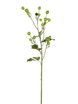 Round Rose Hip Stem
