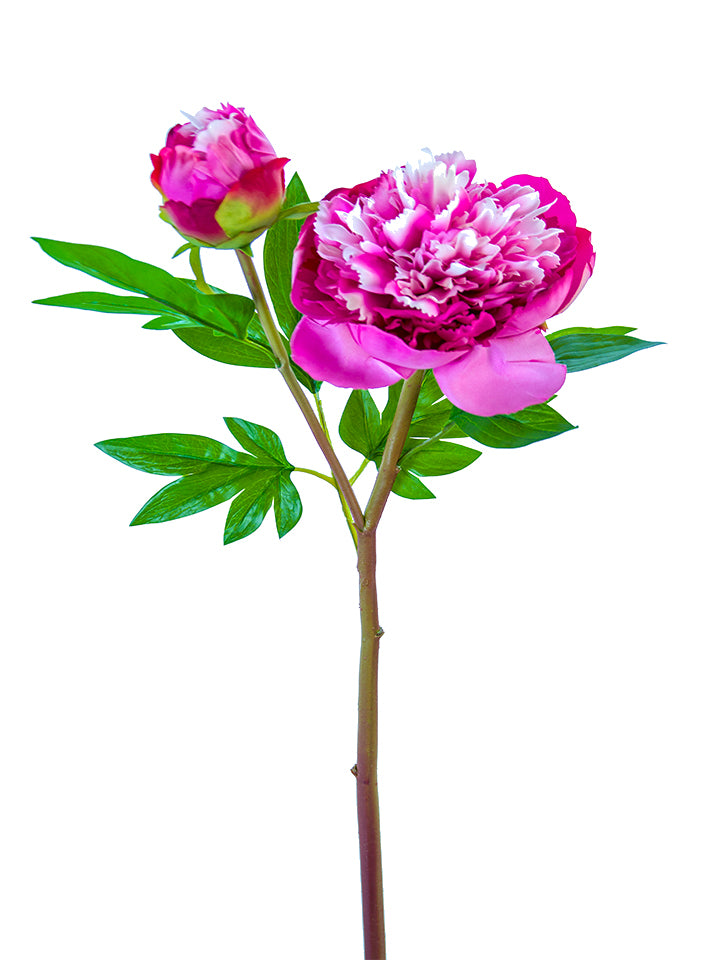 26" Ruffled Peony Stem, Fuchsia