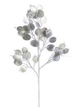 24" Silver Dollar Eucalyptus Spray, Champagne