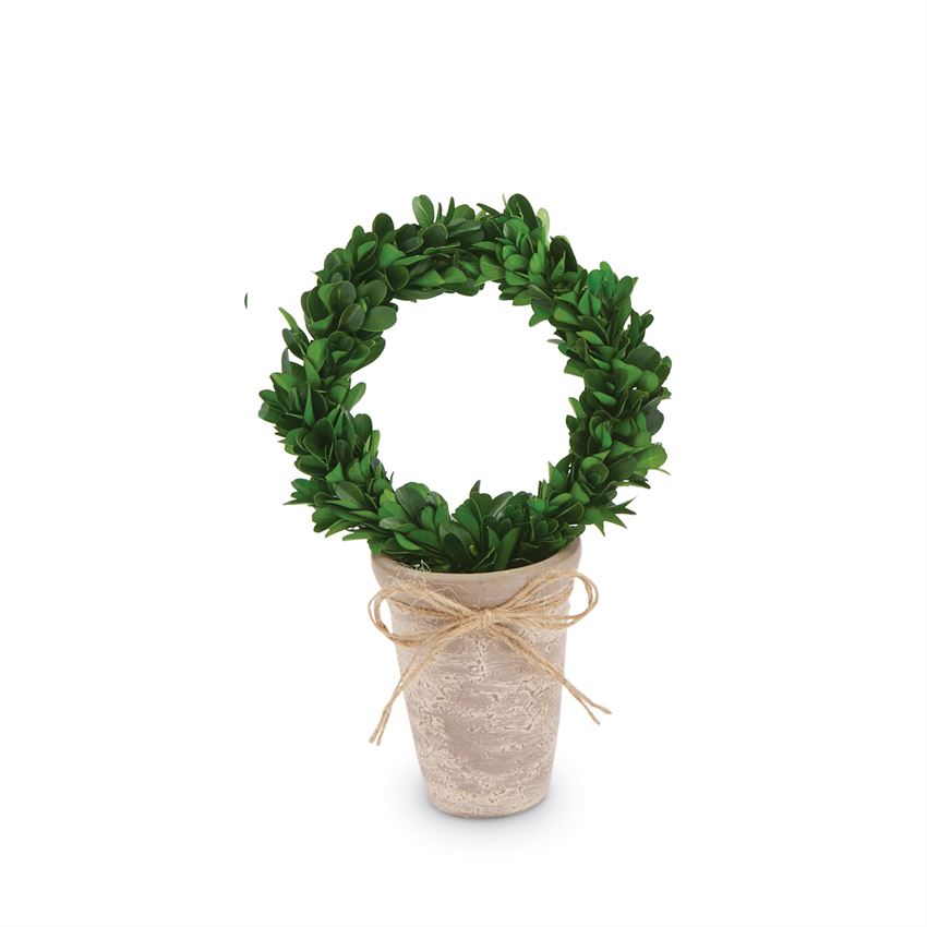 Preserved Boxwood Topiary