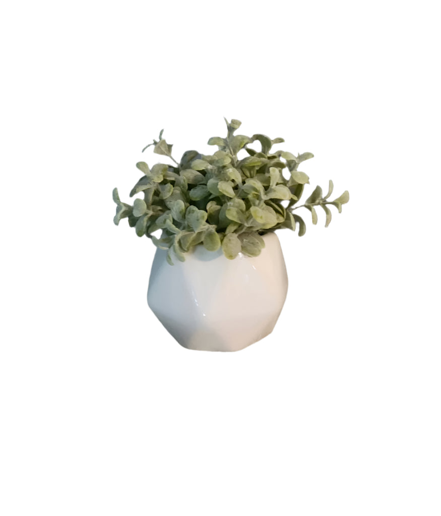 Small Greenery