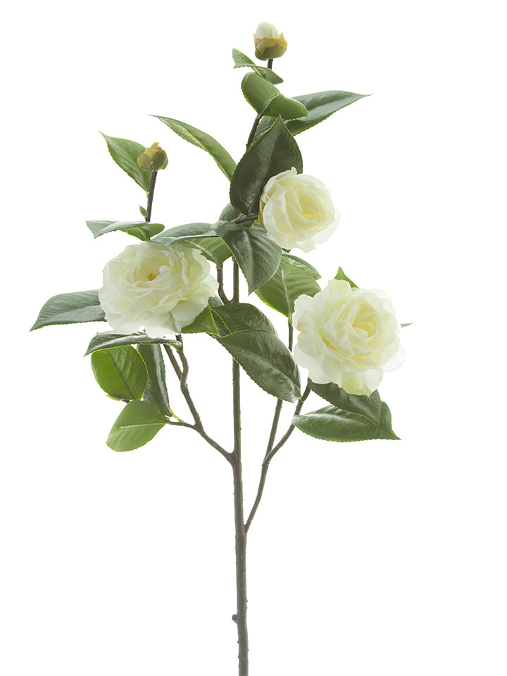 35" Camellia Spray