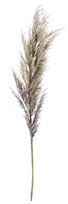 43" Dried Wheat Spray, Brown