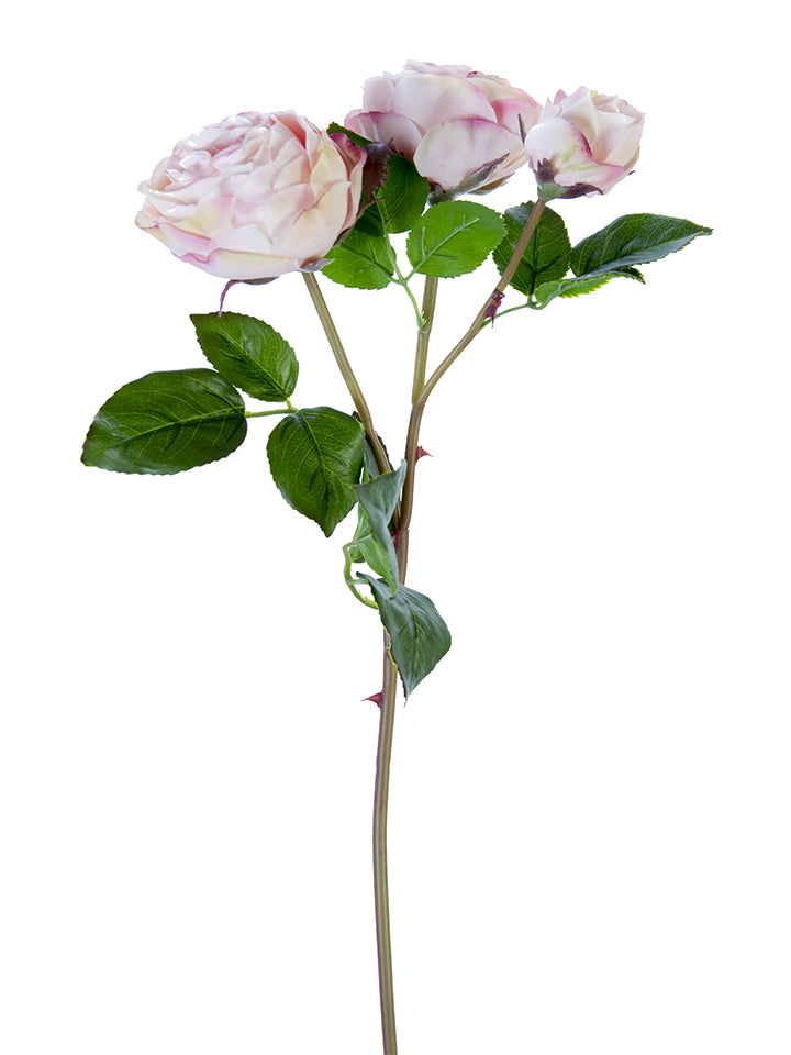 21" Real Touch Cabbage Rose Spray (Various Colors)