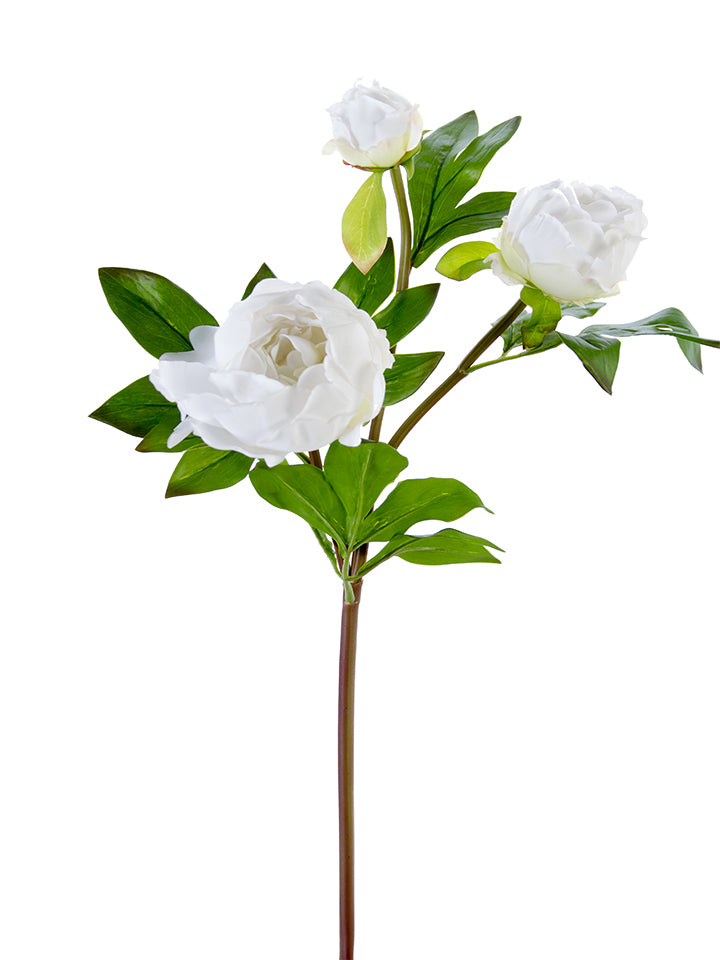 28" Peony Buds Spray (Various Colors)