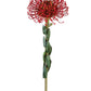 25" Protea Pincushion, Red