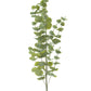 40" Spiral Eucalyptus Spray, Sage Green