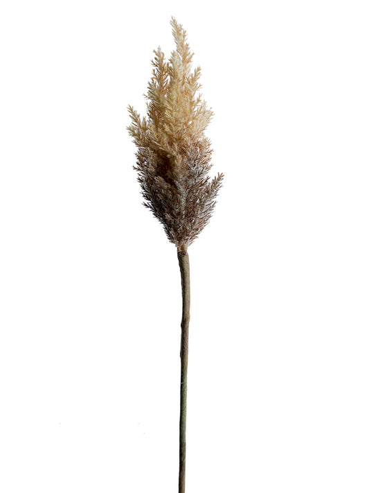 33" Dried Astilbe Spray, Brown