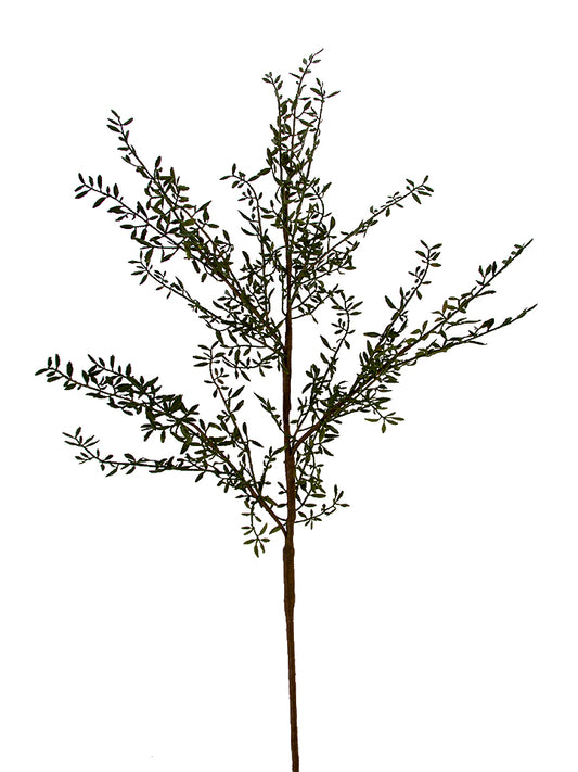 47" Rosemary Branch