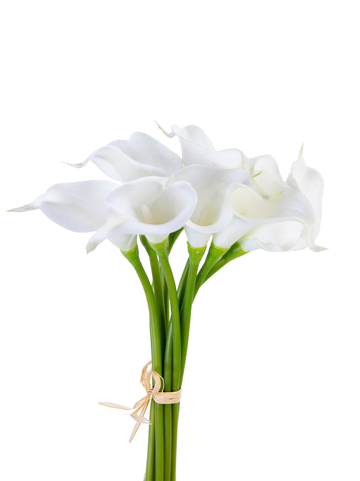 14" Calla Lily Bundle, Fresh Touch Cream