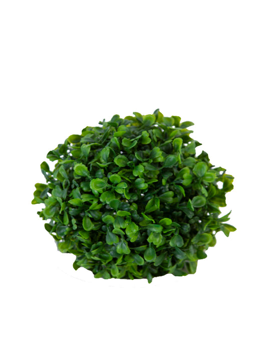 6" Boxwood Ball, Green