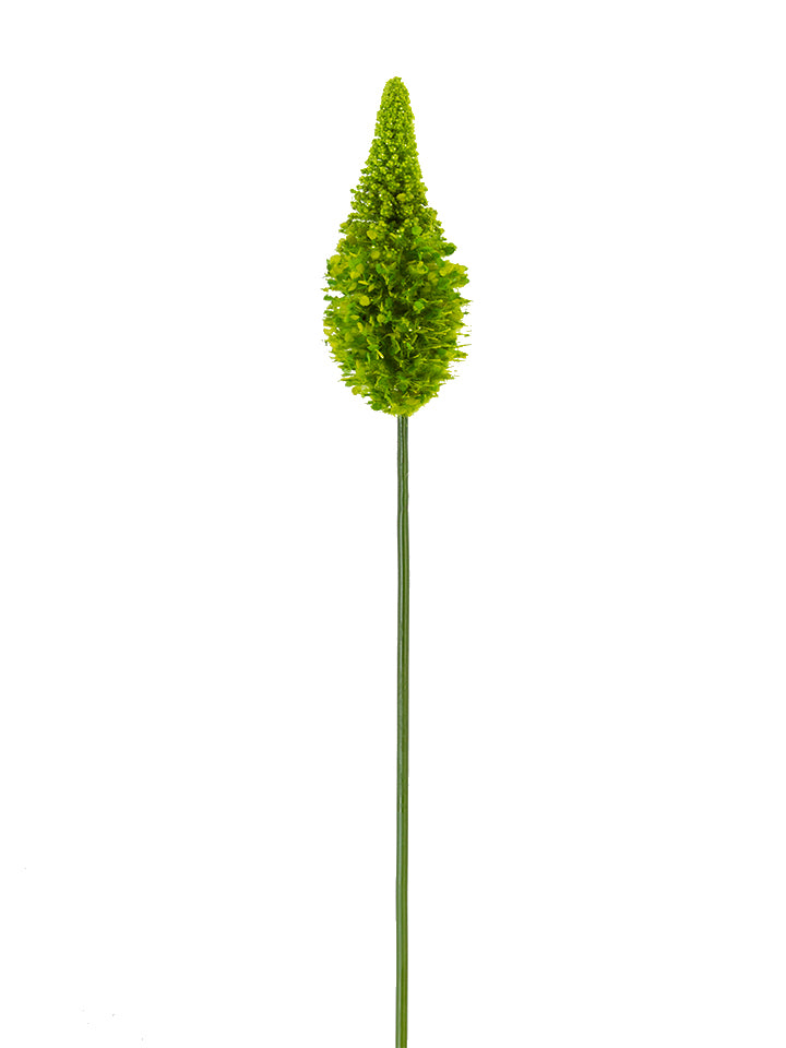 33" Eremurus Stem, Light Green